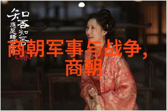 岳飞之死与靖康之耻历史阴影中的两大悲剧