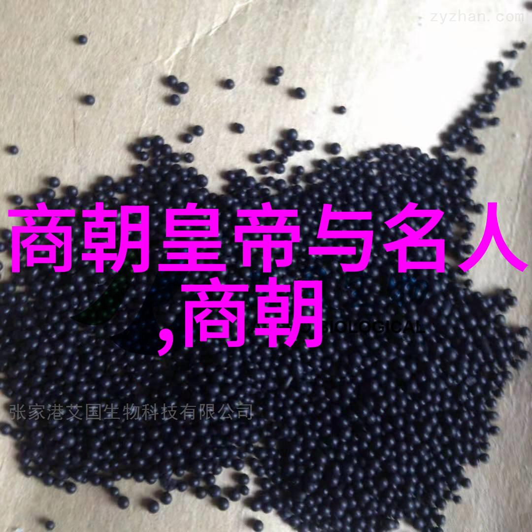 明朝秘史皇权之争与帝国命运