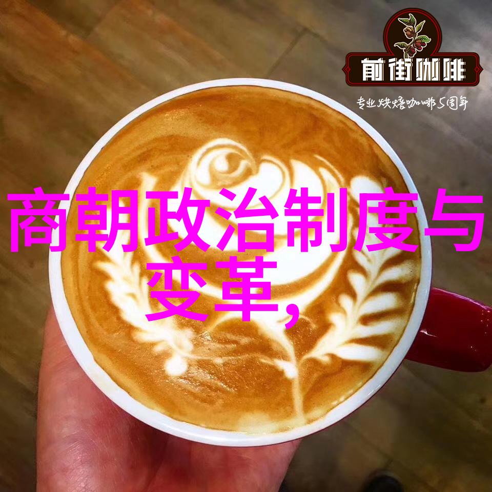 南宋历史简介中国历史的晚期时期南宋王朝的兴衰与文化成就