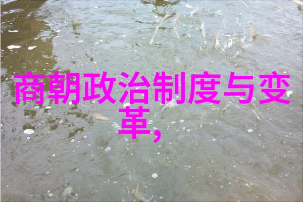 元代宗教政策变迁从宽容到限制再至禁止