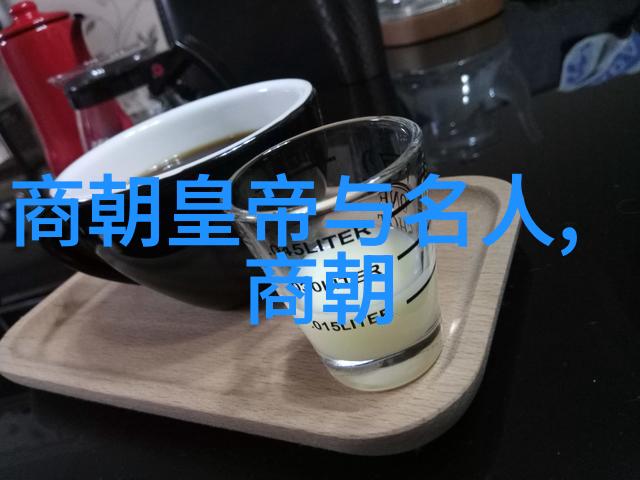辽金史之遗漏历史记载中的空白页