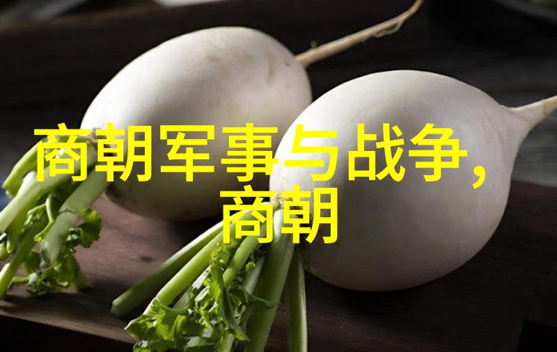 匠心独运探秘古代文人隐逸的野史