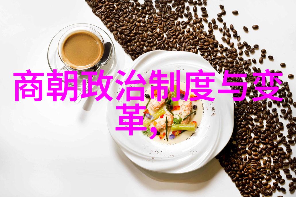 北朝的盛世与隋唐的开创