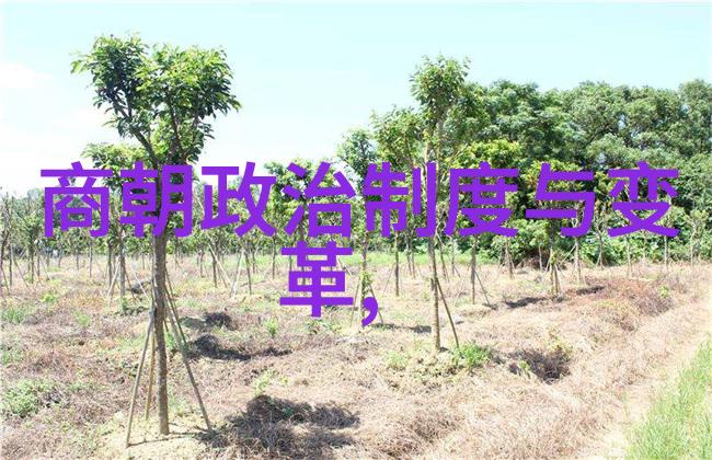 明朝皇帝世系图追溯历史的脉络与权力转移