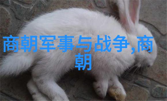 两晋名人孛儿只斤拙赤合撒儿历史的足迹在哪