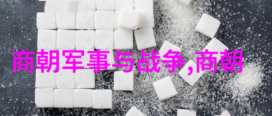皇帝的悲剧康熙与雍正之间的暗杀阴谋