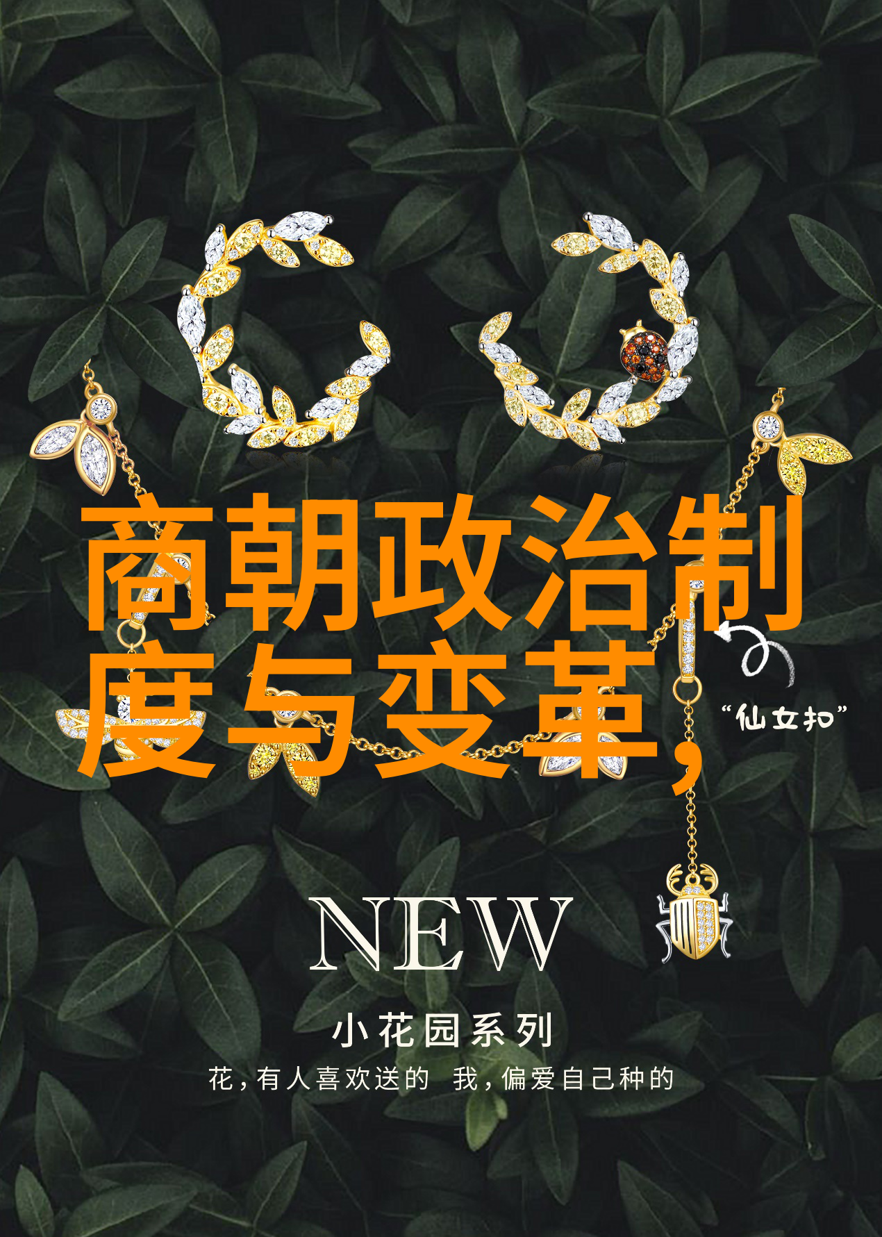 把握过去感受当下智能电视系统中欣赏明朝历史剧集的小窍门
