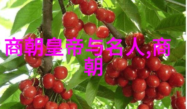 中国唯一一个千年王朝我国的这段光辉岁月探秘中国历史上最长的王朝