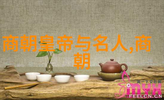 元明清三朝对外扩张政策是怎样影响了中国历史上的面积增长的