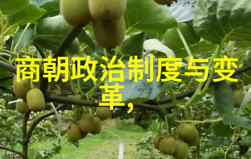 明朝历代君主简介与时期特点