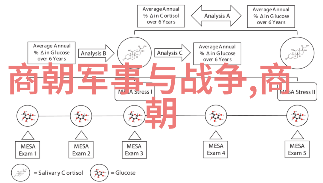 穿越时空中国历史人物的传奇故事