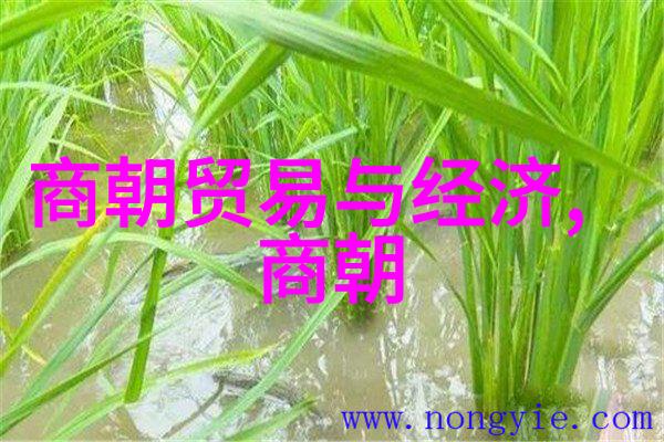 历史人物走红抖音传统文化与现代互动的奇妙融合