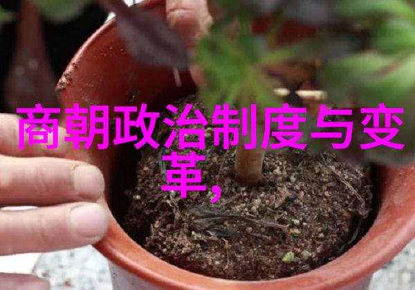 乾隆的儿子皇家血脉中的光芒与阴影