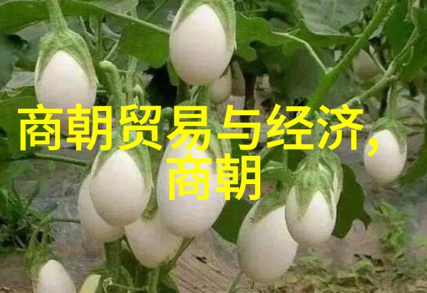 乾隆的儿子们为什么都短命 - 皇家阴影下的生命脆弱解析乾隆帝子嗣的早逝之谜
