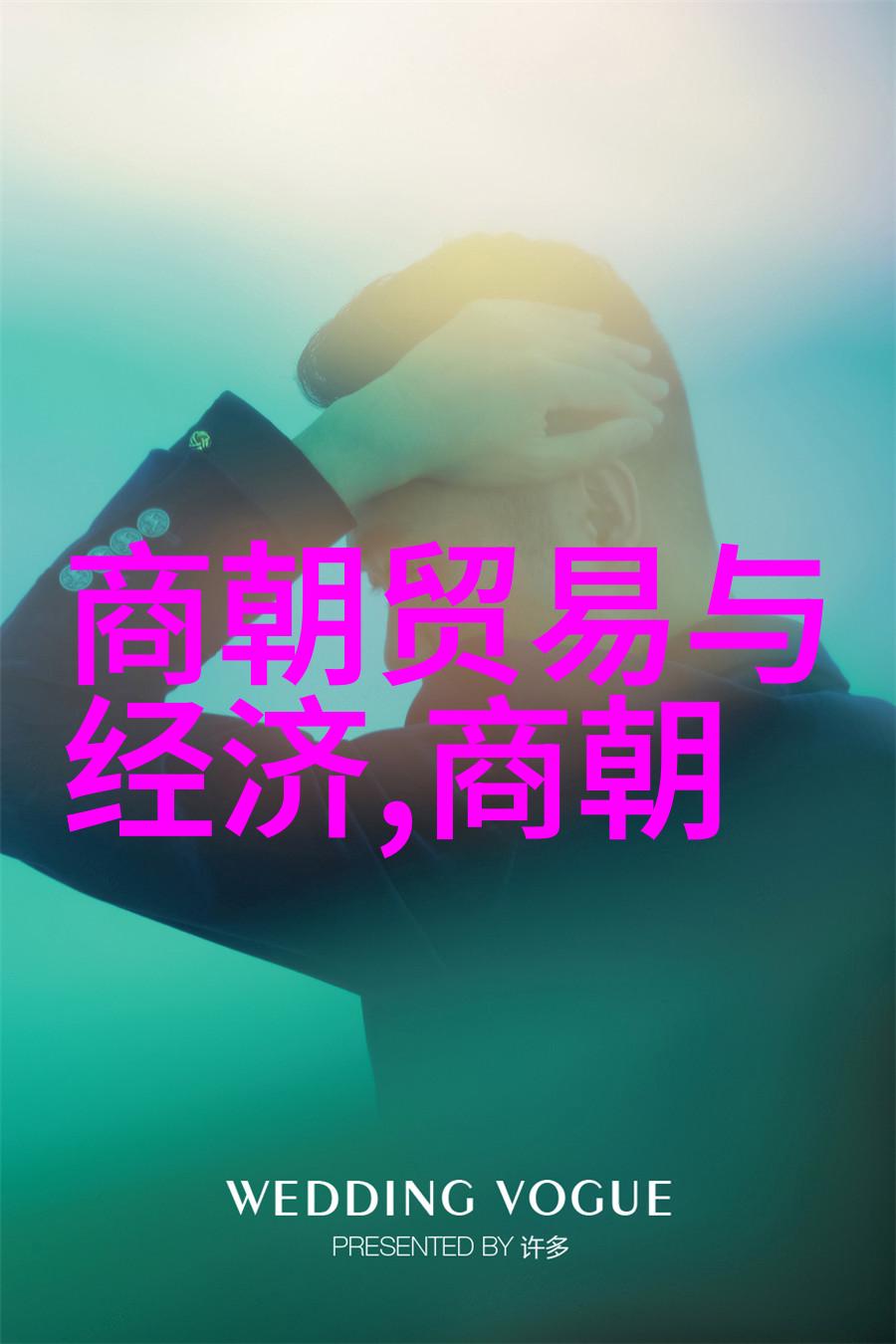 2013年歌手第一季免费观看揭秘中国歌坛最闪耀的天后们