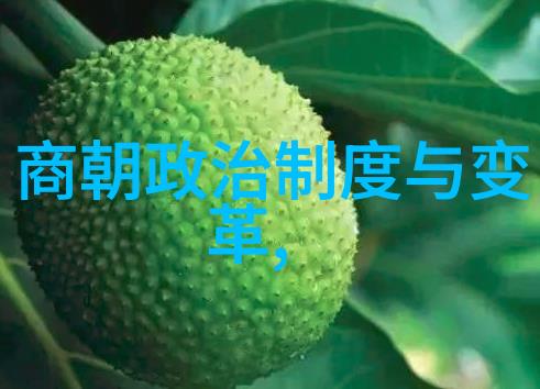明朝庆功阁二十四功臣-颂扬霸业明朝庆功阁二十四功臣的辉煌成就