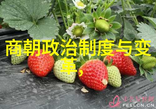 单雄信启示揭秘太极拳呼吸法的精髓与实战技巧