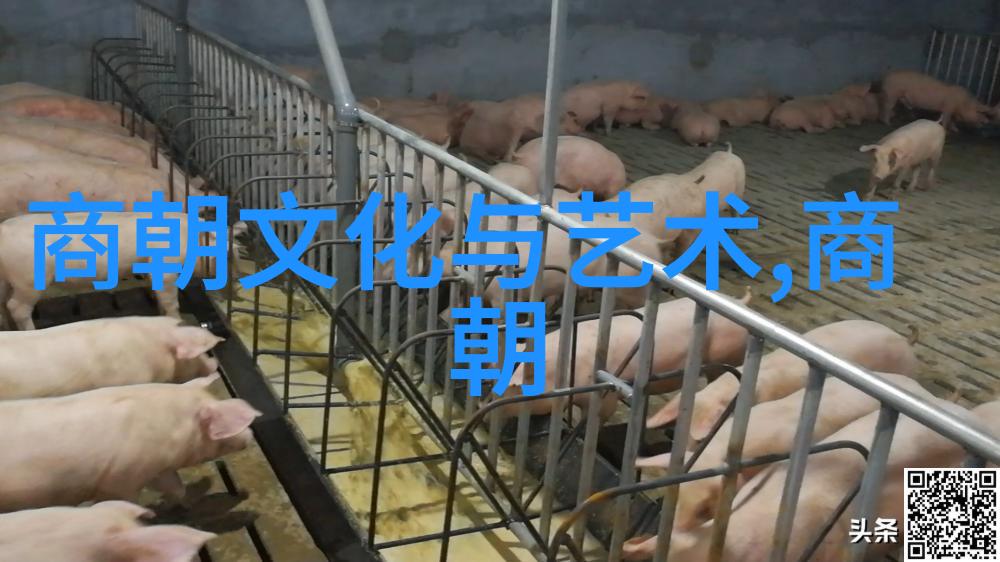 明朝那些事儿纷乱与辉煌的交响曲