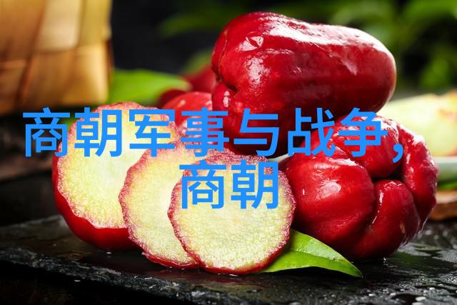 明朝那些事儿百科天下大势方圆之变
