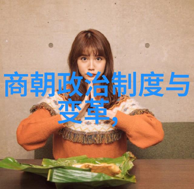 朝代盛衰之迷历史纷争中寻觅真相