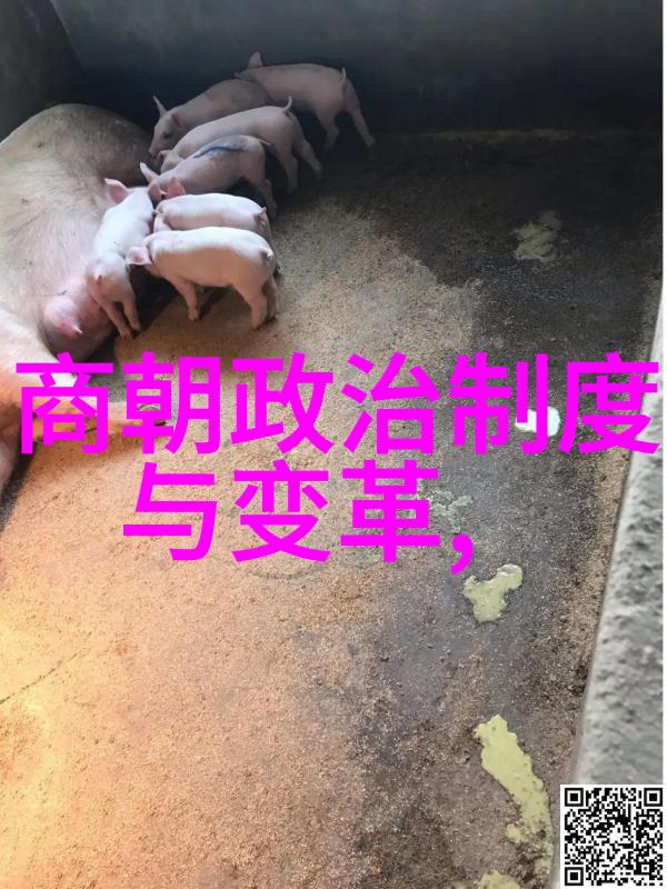 2013年十一黄梅戏展演周文旅结合成亮点韩再芬黄梅戏小辞店在自然景观中绽放