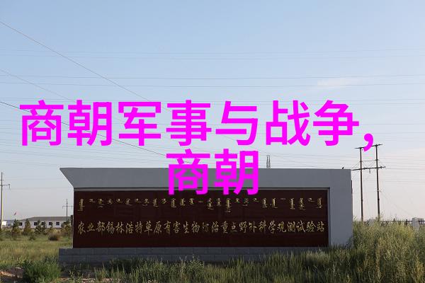 中国历史的千年秘密所有朝代的真相在哪里