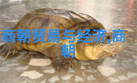 铁血狙击手战术精英的无声杀戮
