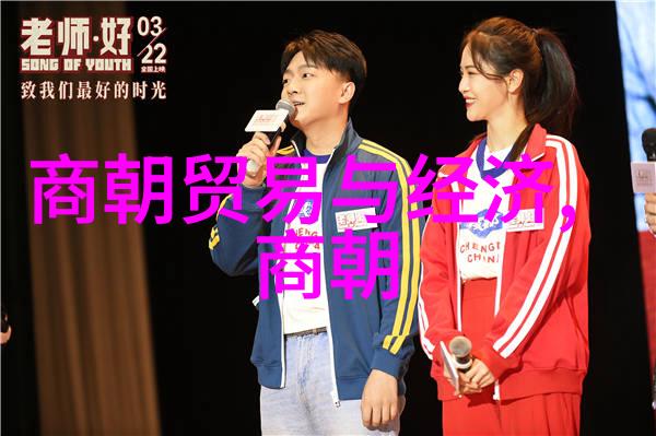 北周政权的动态平衡与杨坚禅让之策历史考量与政治手腕的交汇点