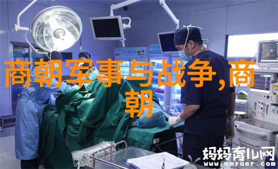 明朝继位之谜朱祁镇的无声传奇