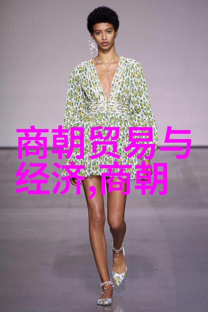金元盛世辉煌与衰落的长河