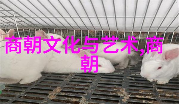 明朝皇帝明朝的权力和影响