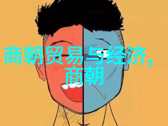 北伐与和议探索两代皇帝的心路历程