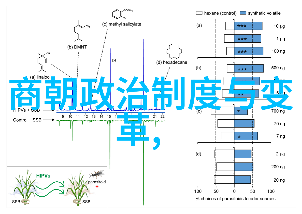 元朝废除制度与风俗探索忽必烈治下的变革
