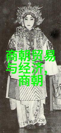 碟民的守护揭秘他们对旧影碟的执着与热爱