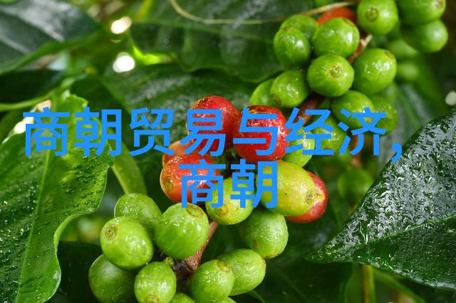 断魂之城南宋覆灭的谜团