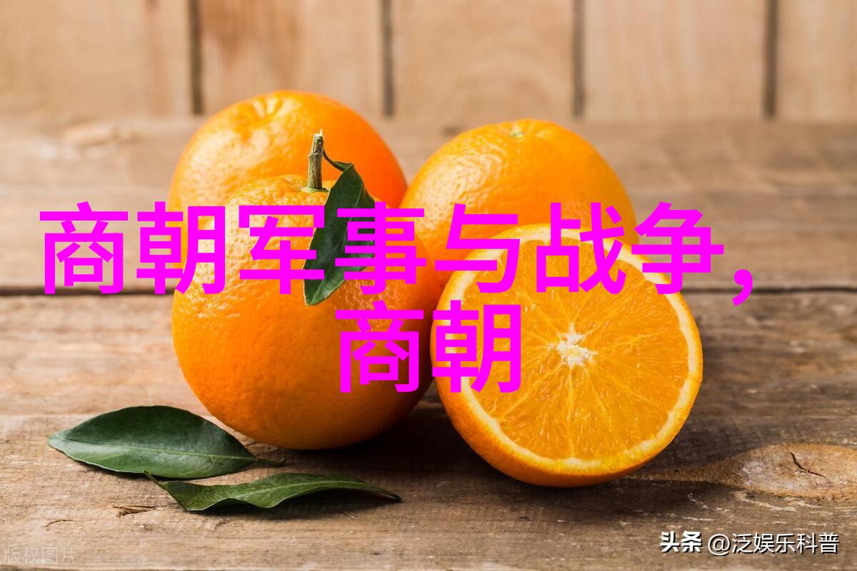 明朝中后期民生问题及其社会影响深度剖析
