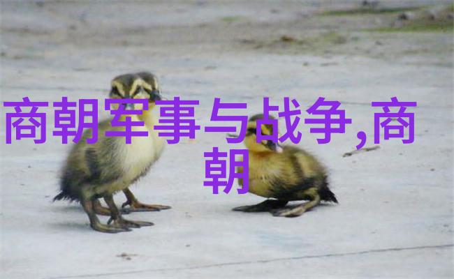 远古时空的呼唤五千年前中国的名字是怎样的秘密