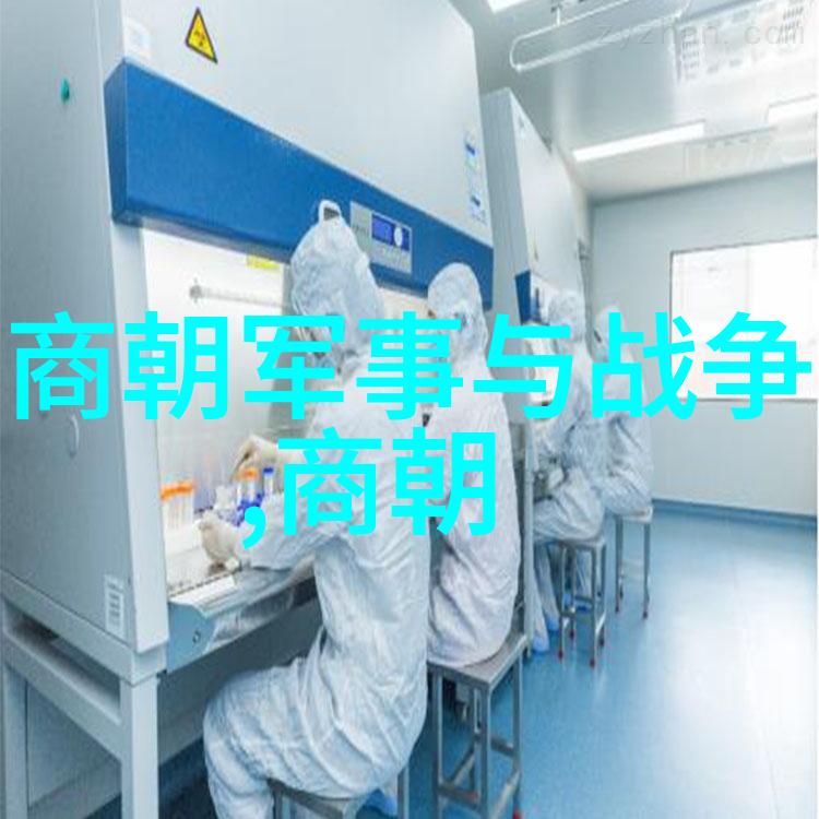 黄梅戏选段绽放第四届艺术节盛宴聚焦