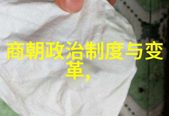 探秘历史的迷雾中国古代最神秘的王朝背后的谜团