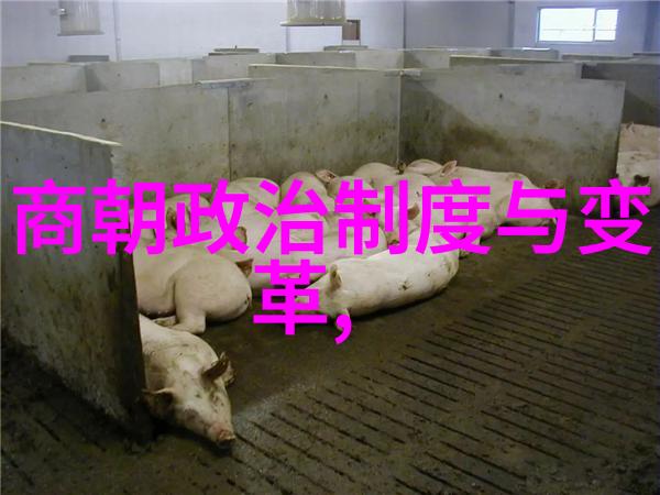 元朝风华录揭秘好看的历史故事