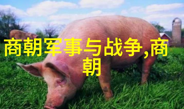 明朝那些事有多少部探秘史海深处的奇幻篇章
