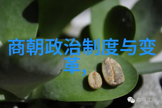 男生坤巴扎进女生的坤巴里一个意外的邂逅与友谊的诞生