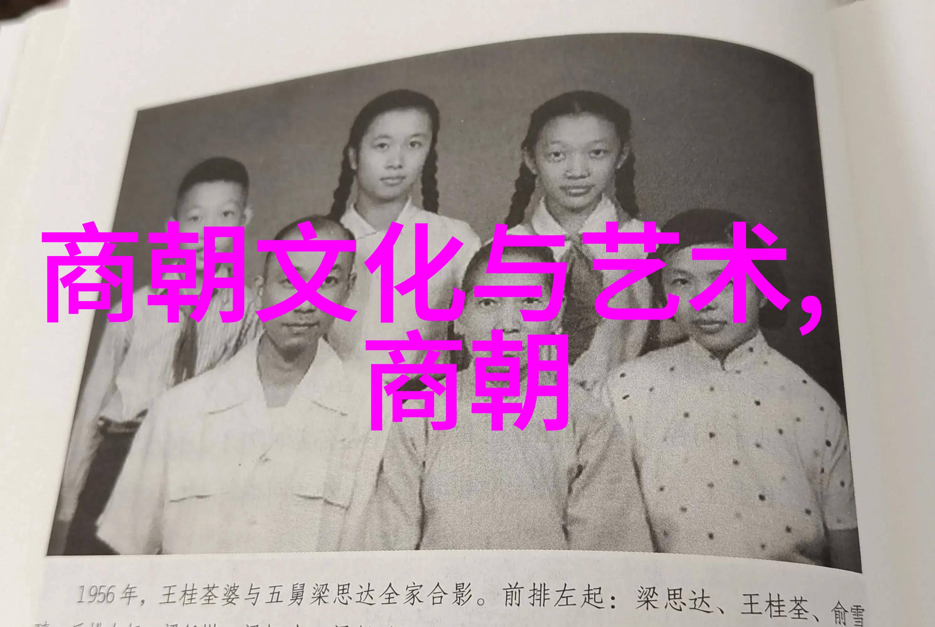 历史 明朝简史盛世煌辉与衰落的轮回