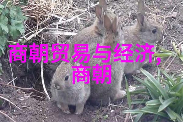 明朝历史我来帮你排个顺序明朝十六任帝王排名榜