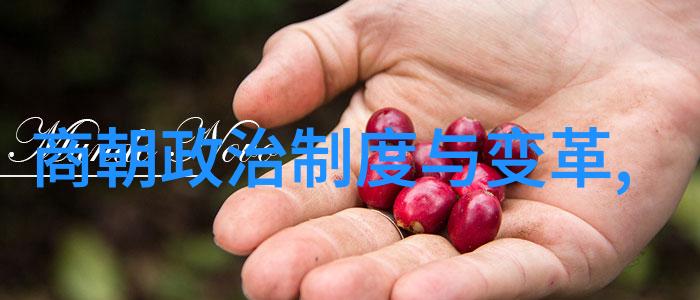 乾隆帝与雍正皇帝的隐秘恩怨一段宫廷斗争的阴影