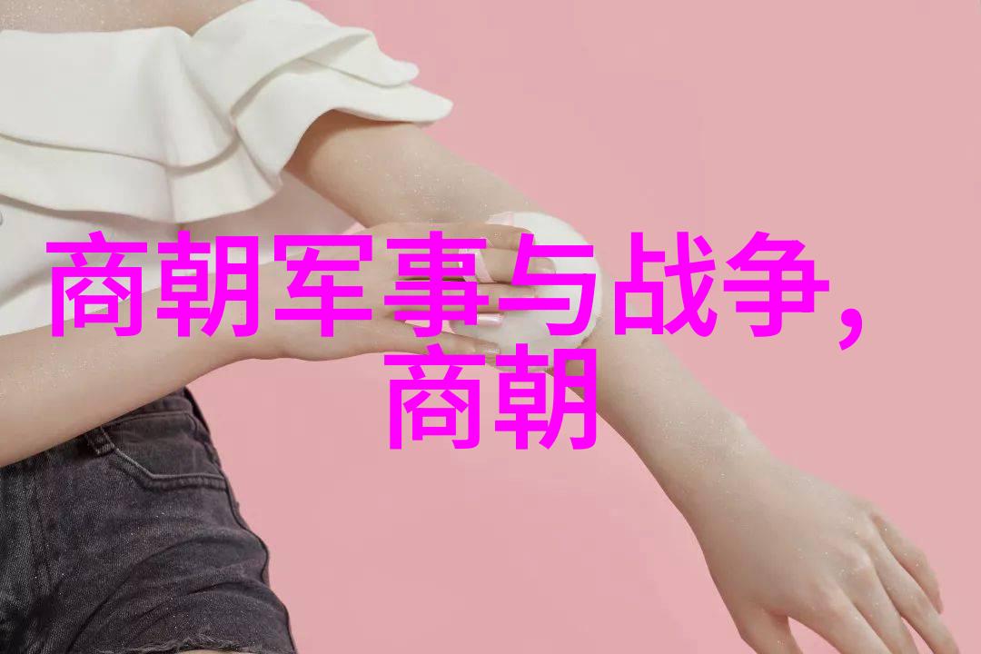 明朝开国之初与历史发展朱元璋的帝业与中原统一