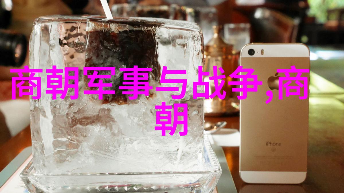 对对于当时的西方列强来说这种态度意味着什么样的挑战与机遇