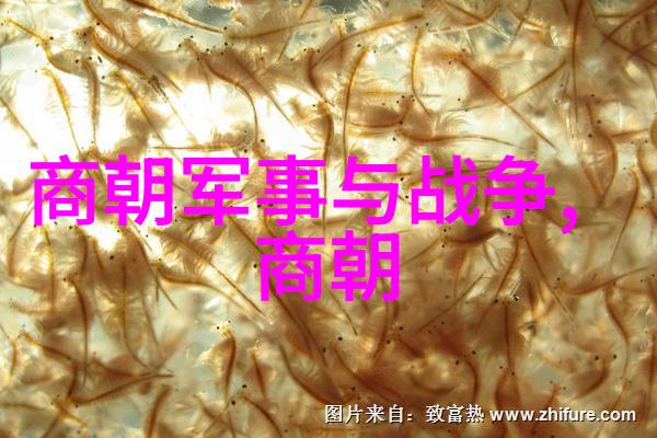 明朝图片回望古今的风华画卷