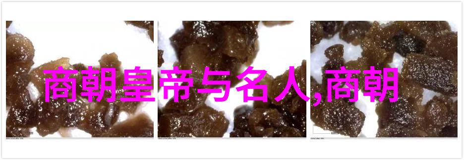 第四届黄梅戏艺术节一场群众性的盛会展现了黄梅戏的经典之作如韩再芬和孟丽君的名曲让人在自然的氛围中感受