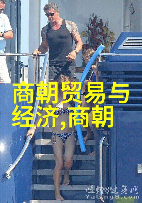 从岳飞到靖康一个时代的兴衰与悲剧